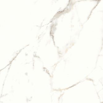 Calacatta white lux 60x60